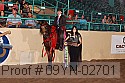 09yn-02701 proof