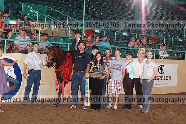 Proof 09yn-02705