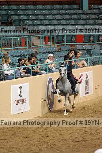 Proof 09yn-02711