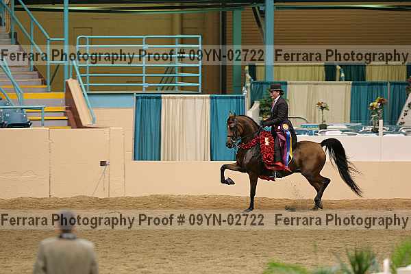 Proof 09yn-02722