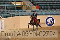 09yn-02724 proof