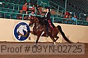 09yn-02725 proof
