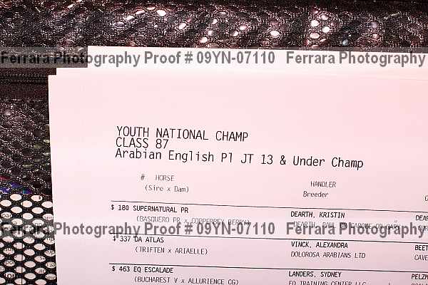 Proof 09yn-07110