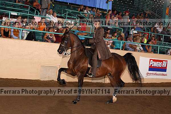 Proof 09yn-07114