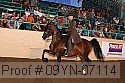 09yn-07114 proof