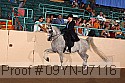 09yn-07116 proof