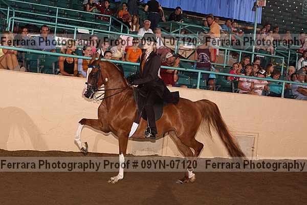 Proof 09yn-07120
