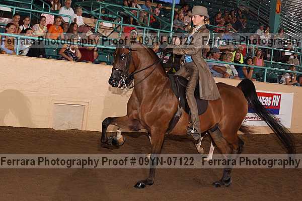 Proof 09yn-07122