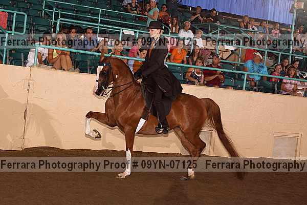 Proof 09yn-07125