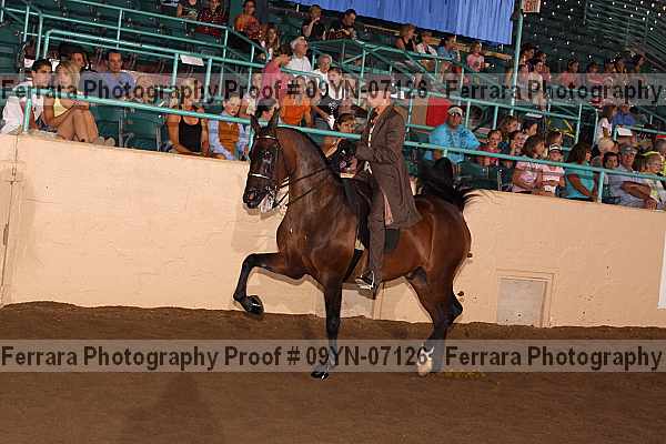 Proof 09yn-07126