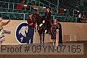 09yn-07165 proof