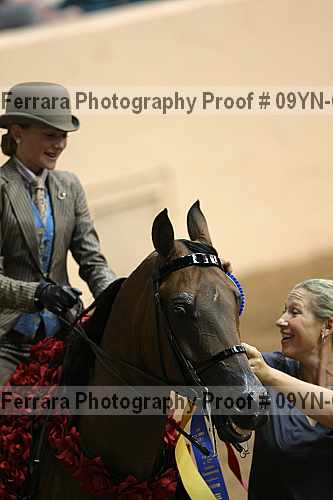 Proof 09yn-07169