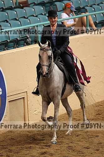 Proof 09yn-07170