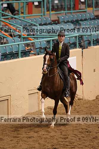 Proof 09yn-07177