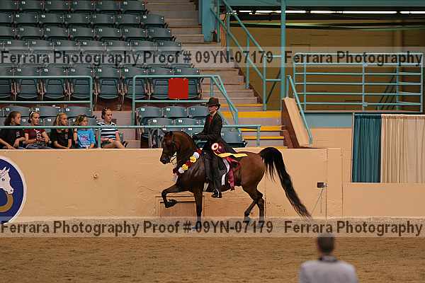 Proof 09yn-07179