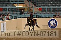 09yn-07181 proof