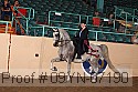 09yn-07190 proof