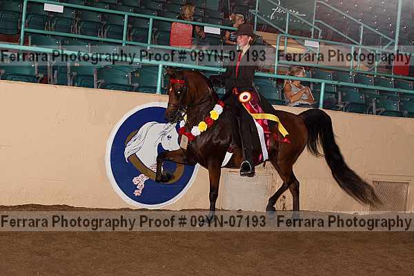 Proof 09yn-07193