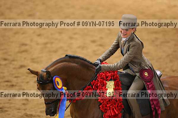 Proof 09yn-07195