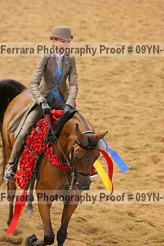 Proof 09yn-07196