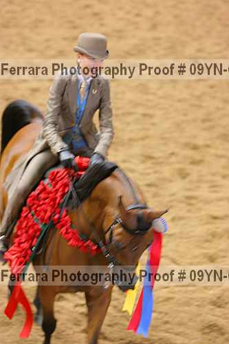 Proof 09yn-07197