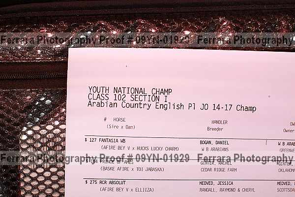 Proof 09yn-01929