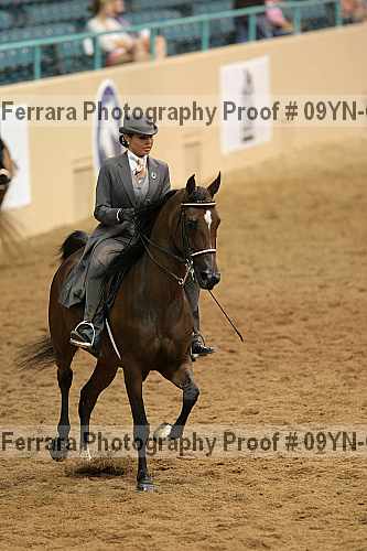 Proof 09yn-01937