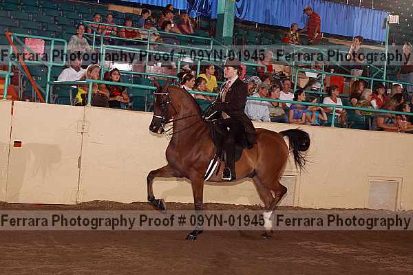 Proof 09yn-01945