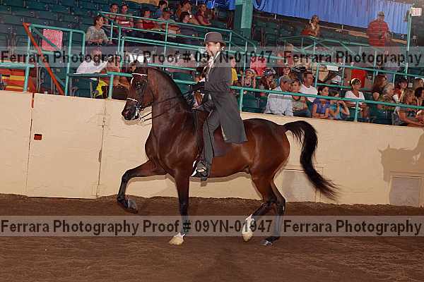 Proof 09yn-01947