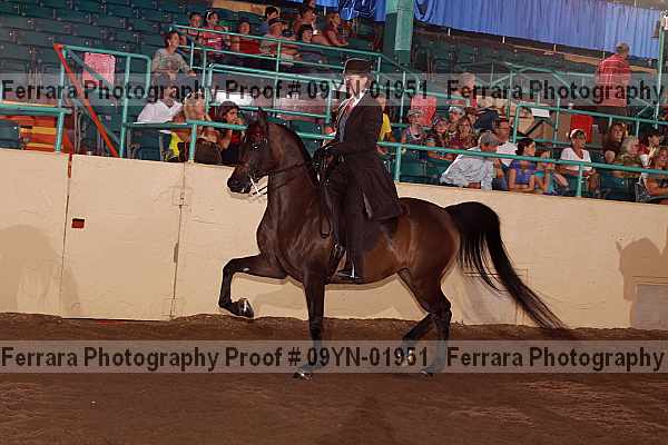 Proof 09yn-01951