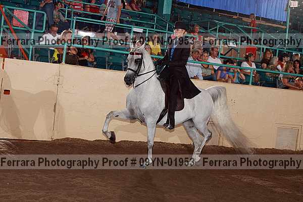 Proof 09yn-01953