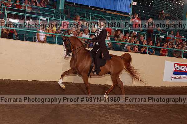 Proof 09yn-01960