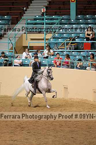 Proof 09yn-01962