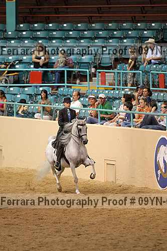 Proof 09yn-01963