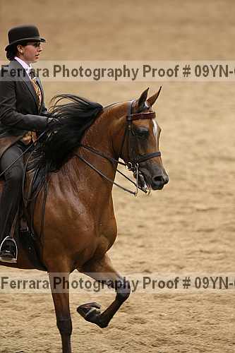 Proof 09yn-01991