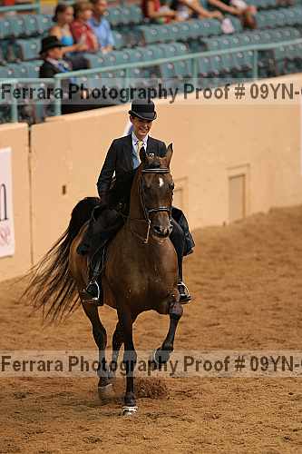 Proof 09yn-01993