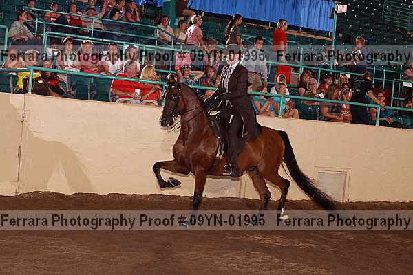 Proof 09yn-01995