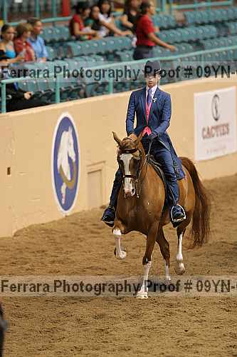 Proof 09yn-01996