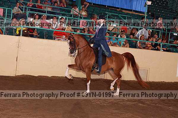 Proof 09yn-01997