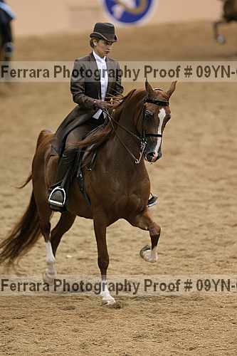 Proof 09yn-01998