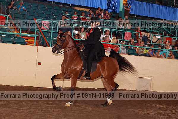 Proof 09yn-01999