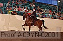 09yn-02001 proof
