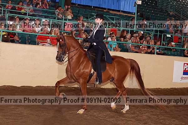 Proof 09yn-02003