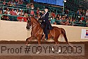 09yn-02003 proof