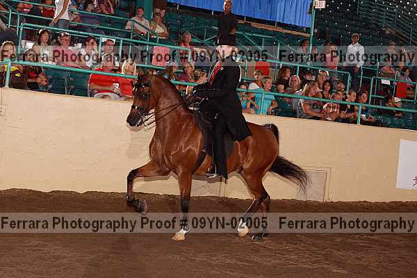 Proof 09yn-02005