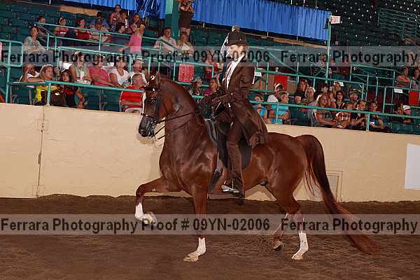 Proof 09yn-02006
