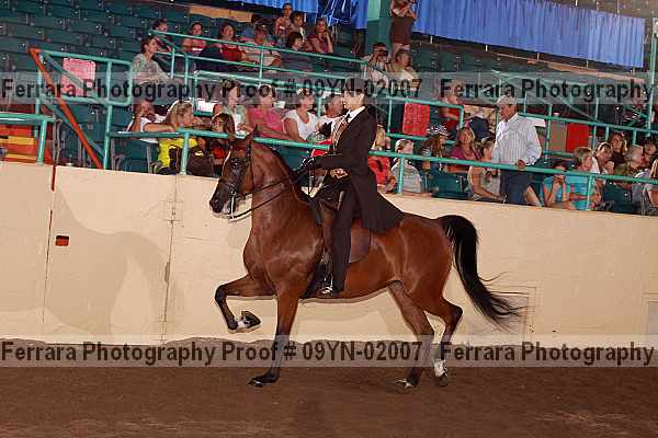 Proof 09yn-02007