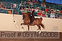 09yn-02008 proof