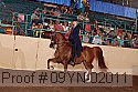09yn-02011 proof