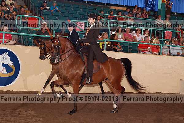 Proof 09yn-02013